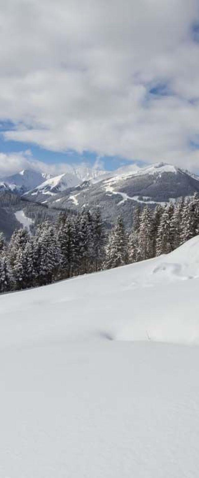 Remberghütte in Viehhofen – billede 2