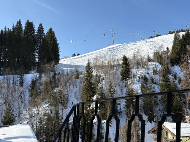 Bernkogel – billede 46