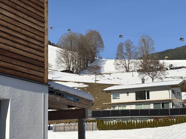 Pantera - SKI IN SKI OUT – billede 2