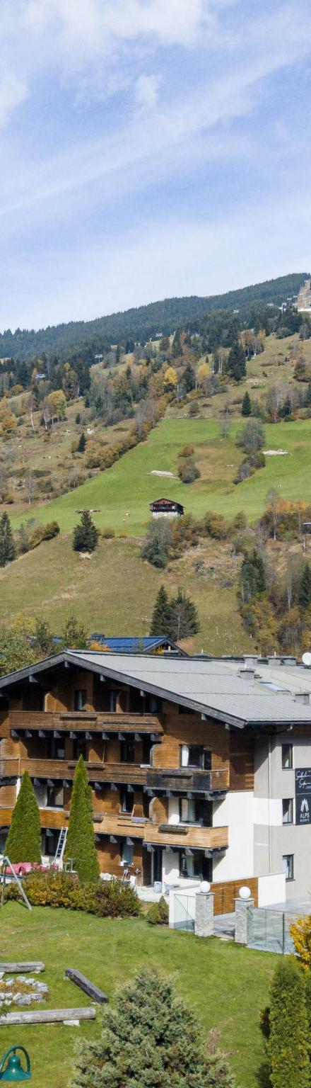 Juniorsuite bis zu 4 P &Wellnessbereich – billede 1