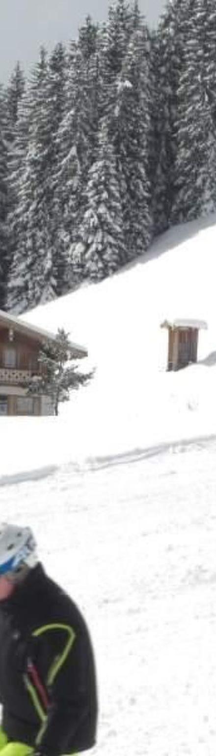 Wallegg-Lodge in Saalbach-Hinterglemm – billede 2