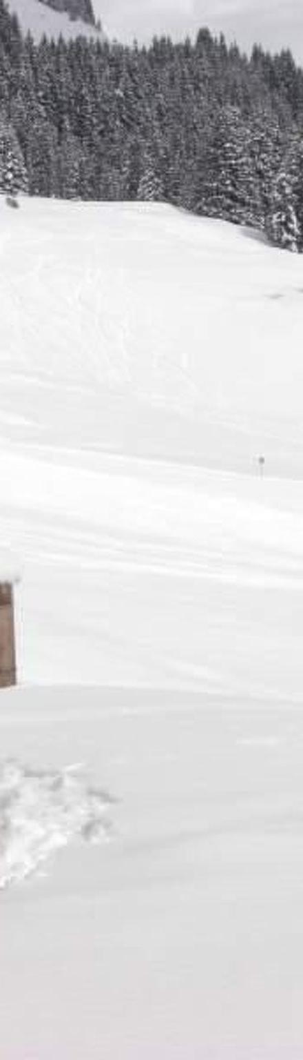 Wallegg-Lodge in Saalbach-Hinterglemm – billede 3