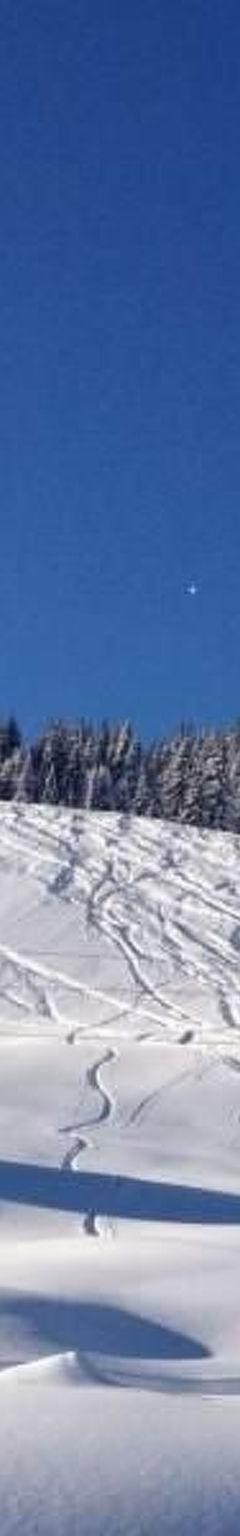 Hus (7 pers.) – Wallegg-Lodge in Saalbach-Hinterglemm