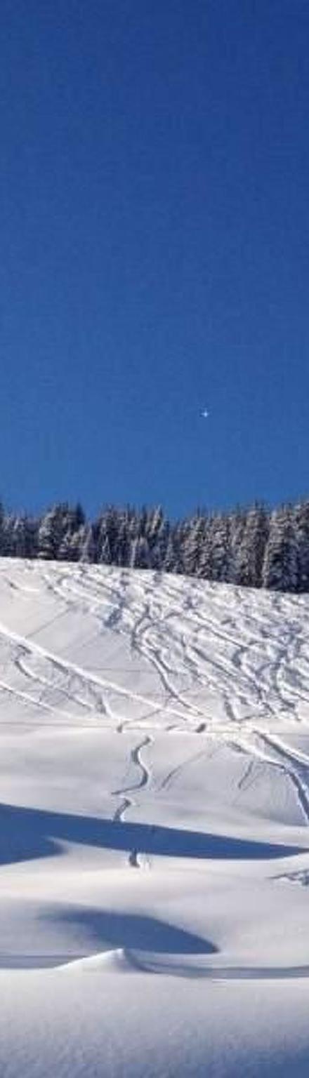 Wallegg-Lodge in Saalbach-Hinterglemm – billede 4