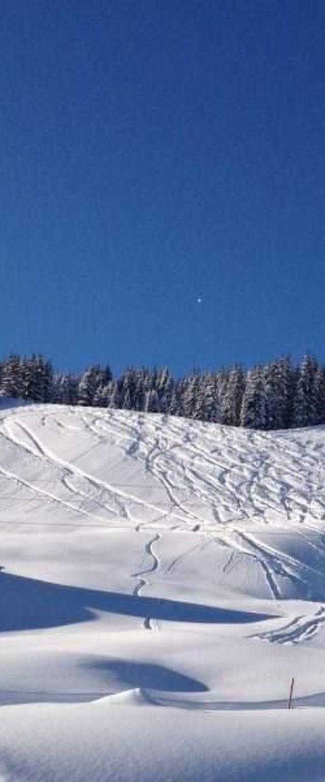 Wallegg-Lodge in Saalbach-Hinterglemm – billede 4
