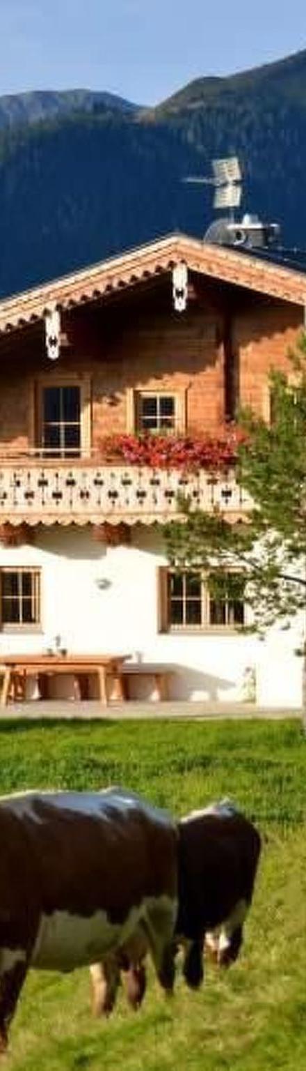 Wallegg-Lodge in Saalbach-Hinterglemm – billede 5
