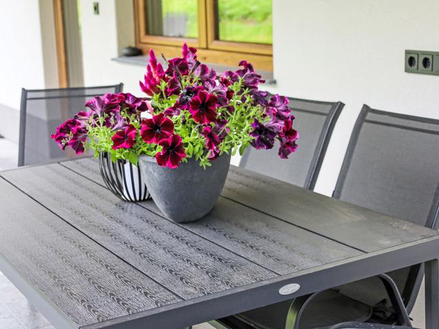 Jagerstüberl-60qm EG mit gr Terrasse – billede 20