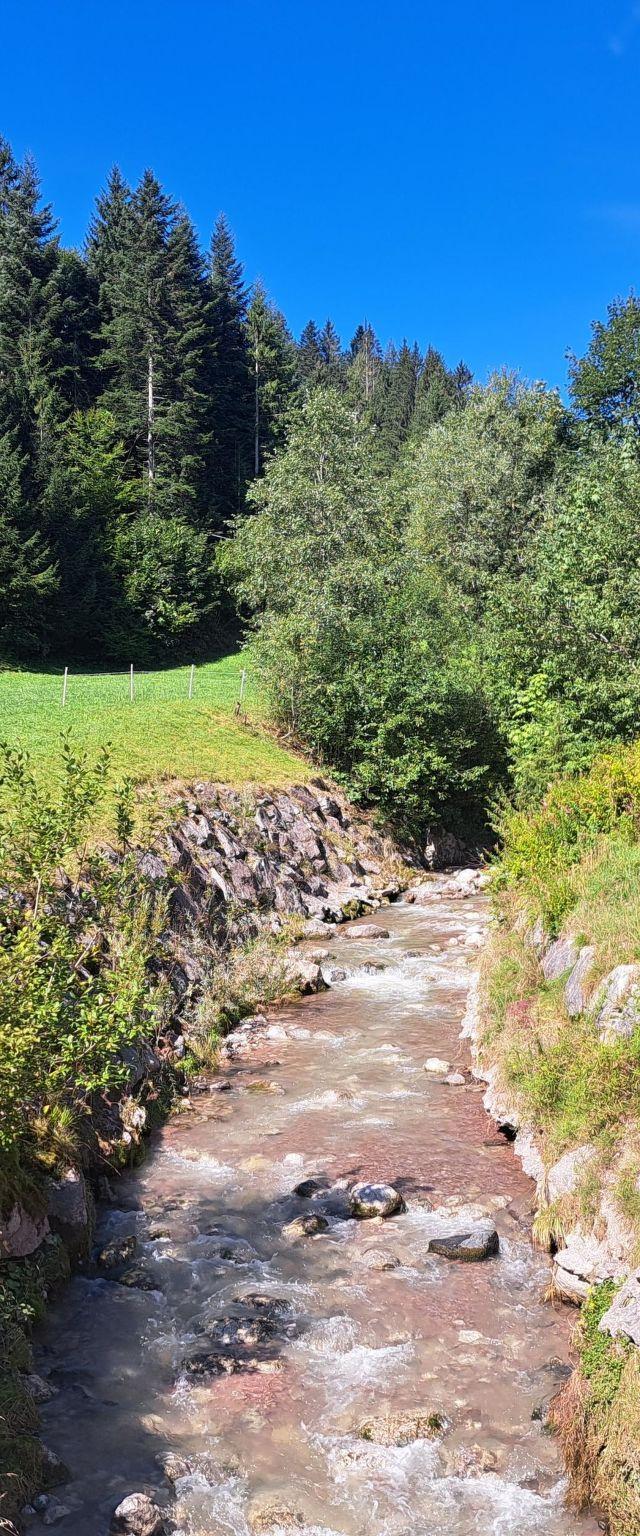 Waidmannsheil - 67qm – billede 22