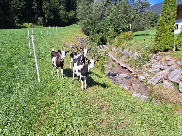 Waidmannsheil - 67qm – billede 25