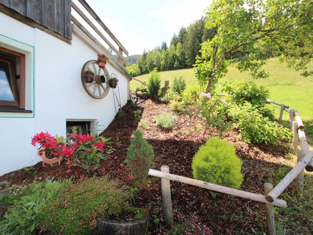 Annelies – bild 18