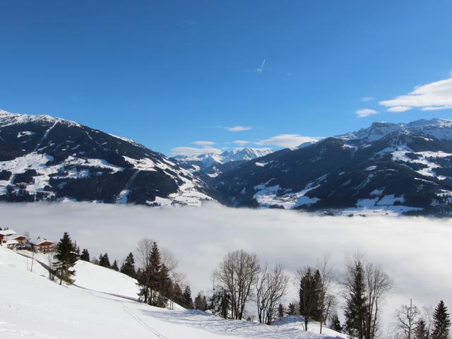 Anita – bild 57