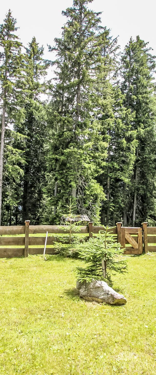 Hochkrimml – bild 39