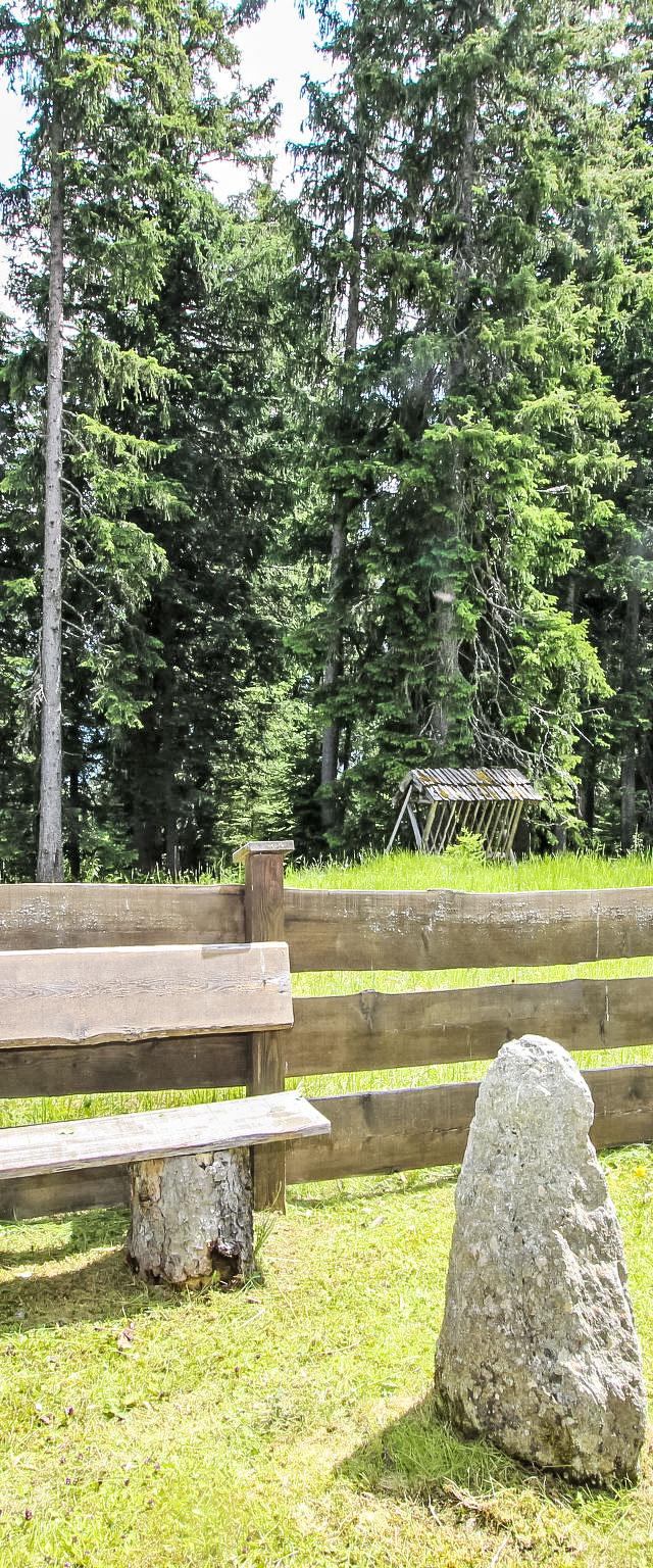 Hochkrimml – bild 40