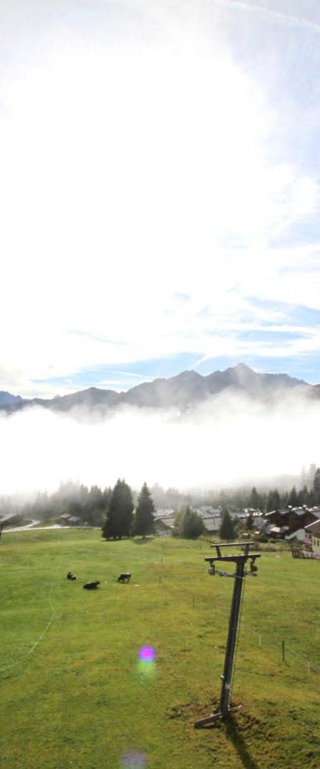 Voithofer – bild 13