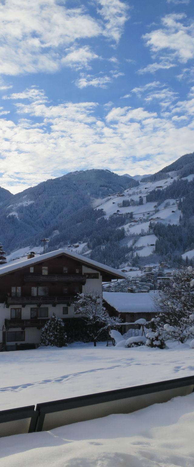 Hanser – billede 18