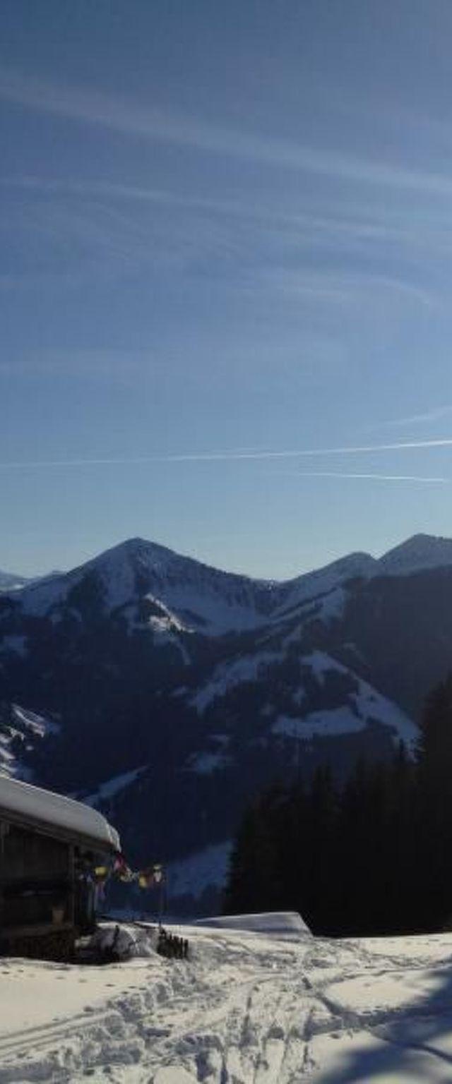 Alpine Lodge – billede 11