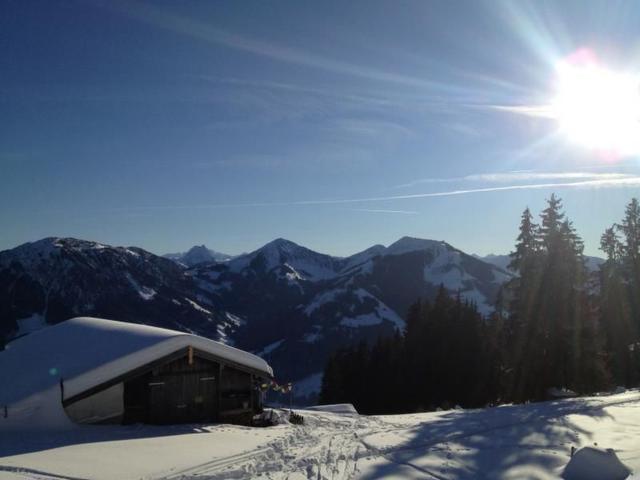 Alpine Lodge – billede 11