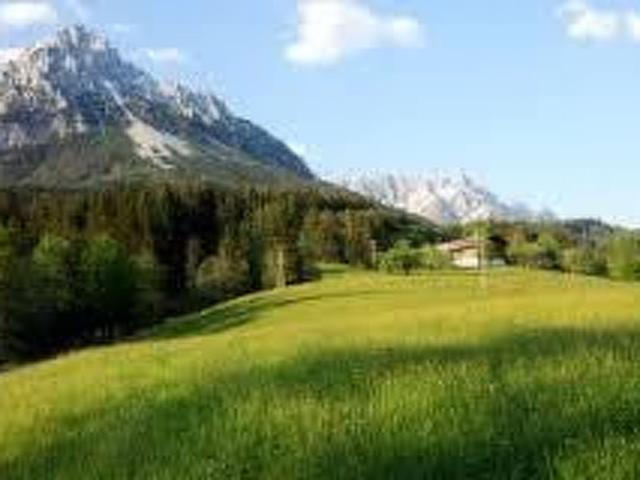 Alpine Lodge – billede 15