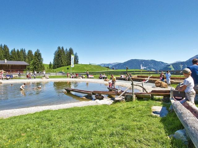 Bergpanorama – billede 21