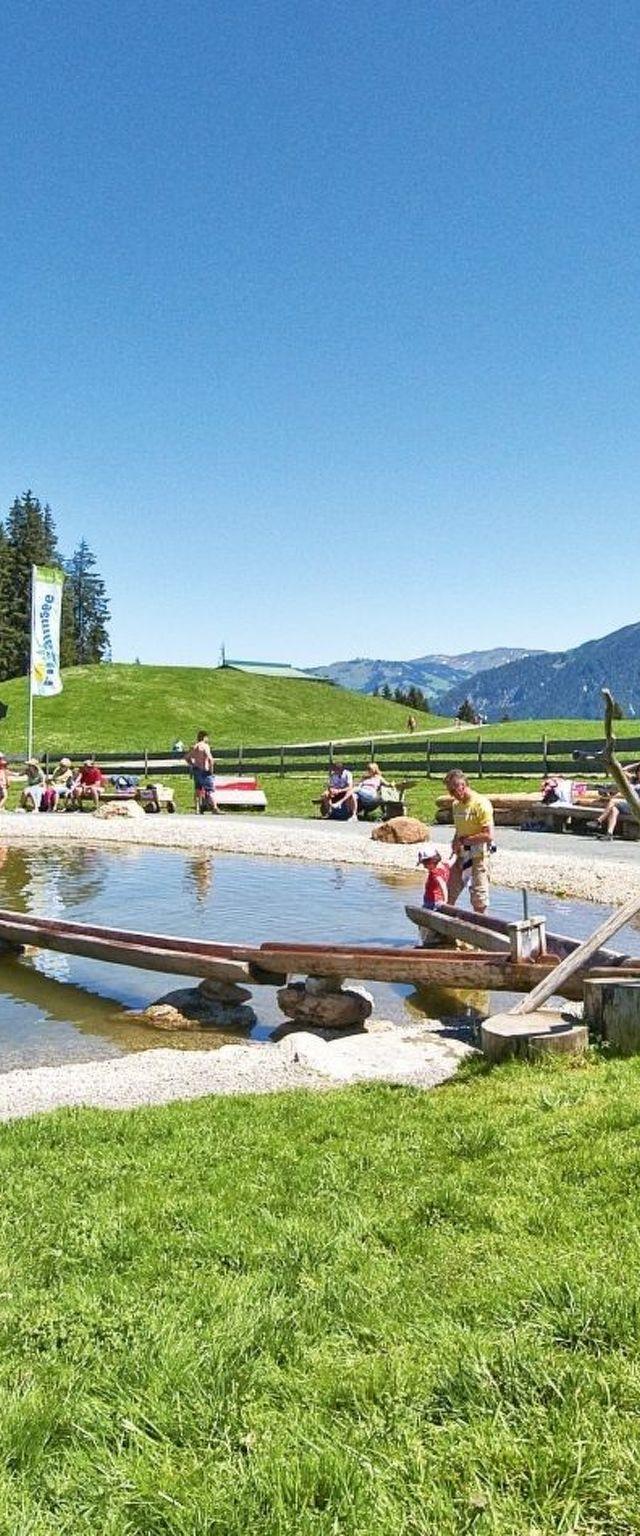 Alpenblick – billede 19