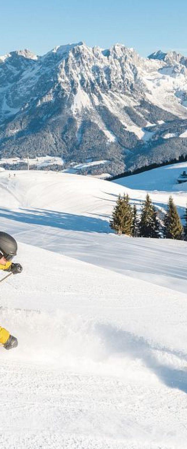 Alpenblick – billede 25