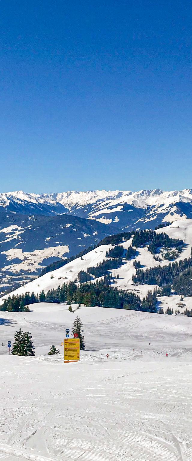 Alpenblick – billede 30