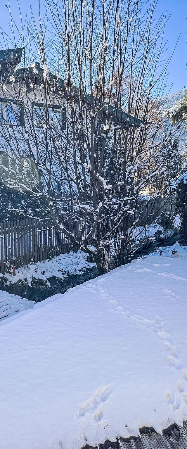Blauer Elefant – billede 58