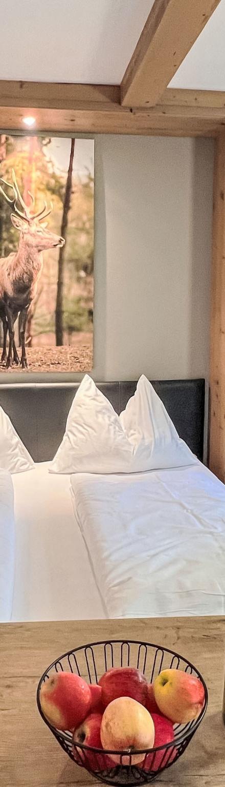 Cheeky Apartment – billede 3