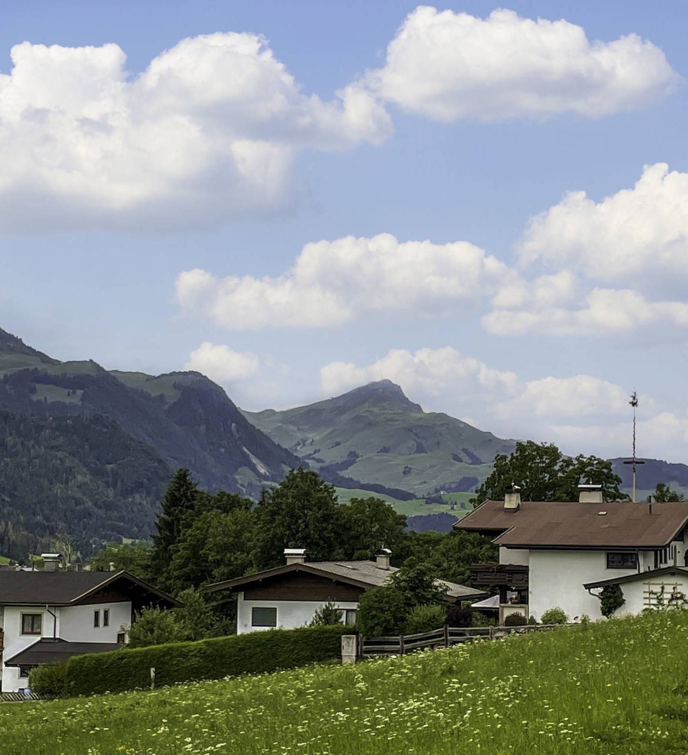 Helga, Saalbach