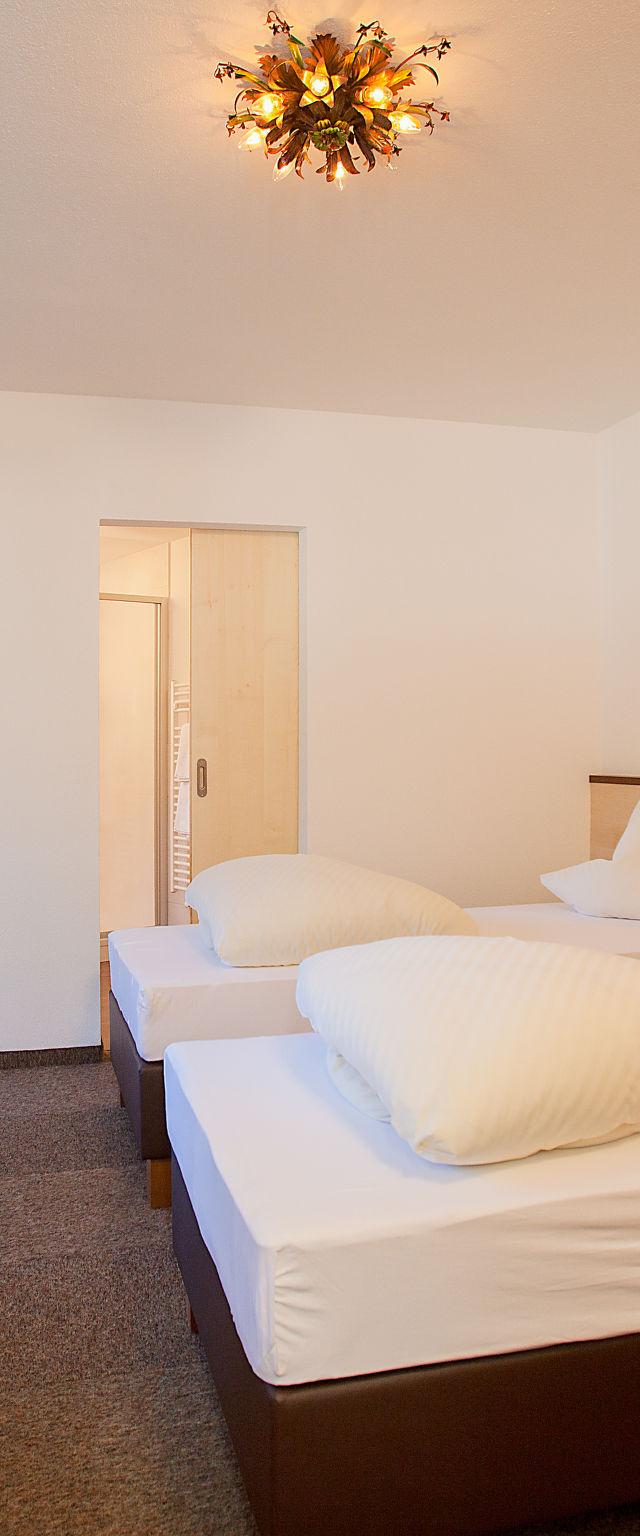 Alpin – billede 11