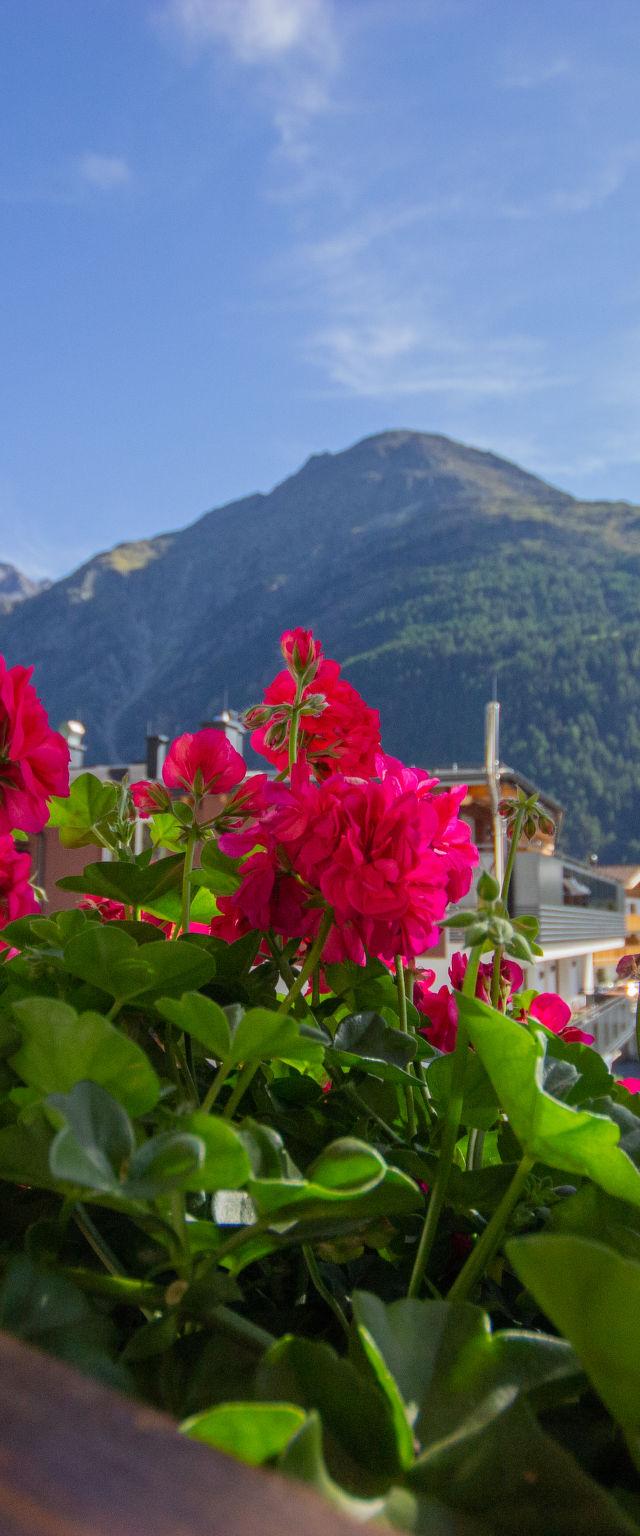 Alpin – billede 17