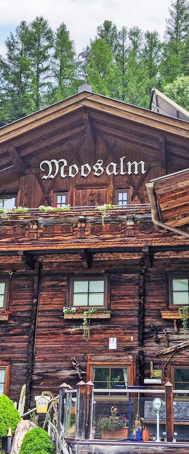 Moosalm – billede 18