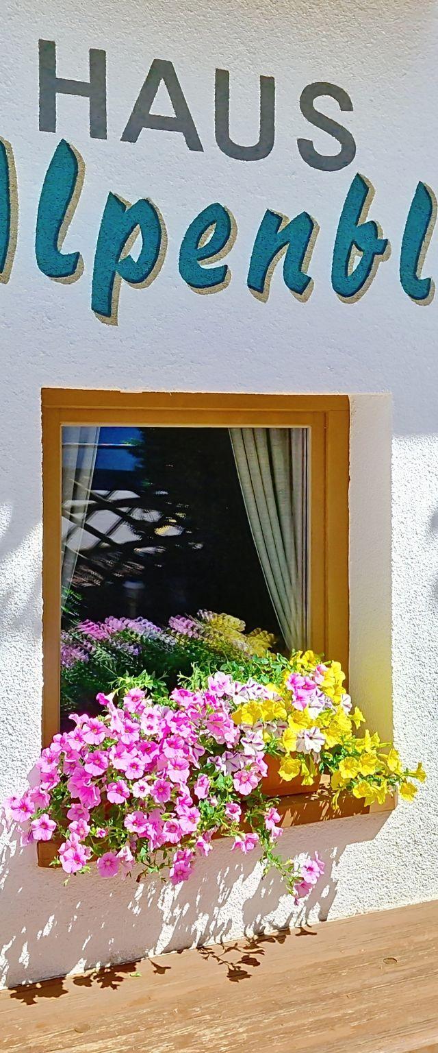 Alpenblick – billede 46