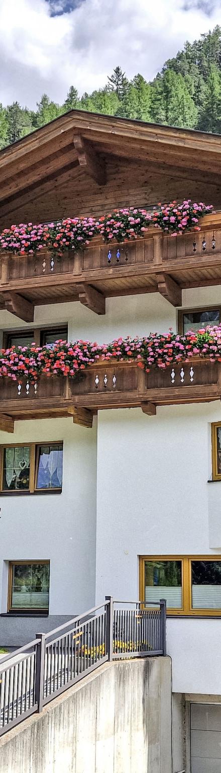 Birkenheim – billede 1