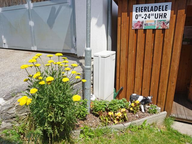 Krismer – billede 36