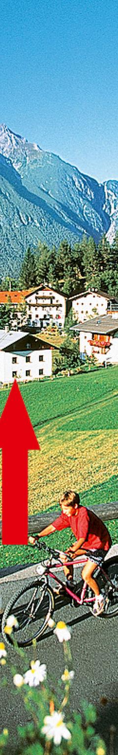Lejlighed (5 pers.) – Tyrol