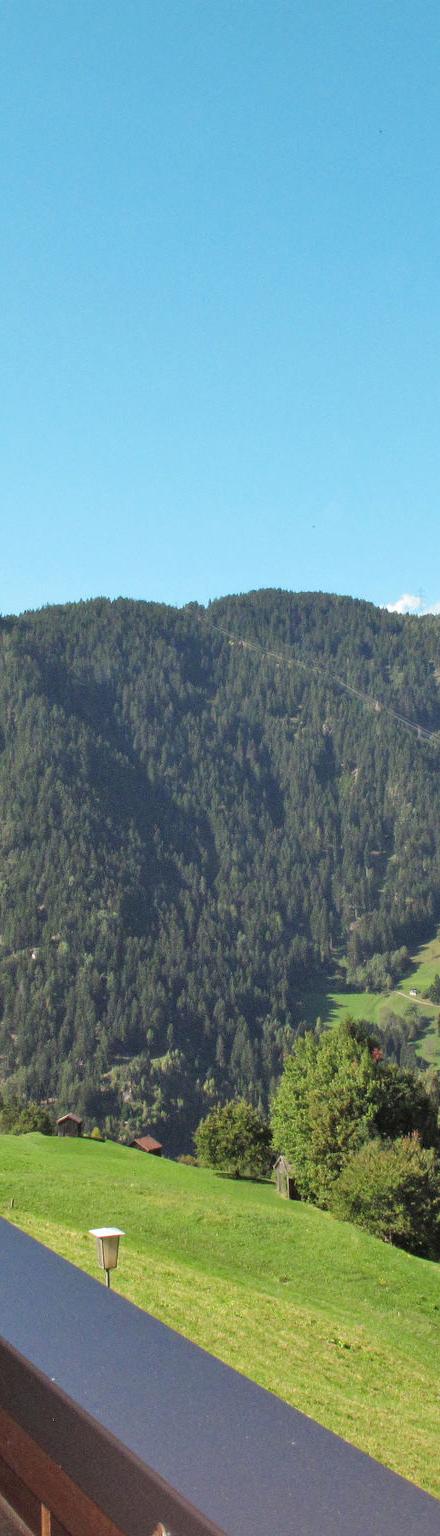 Tyrol – billede 3