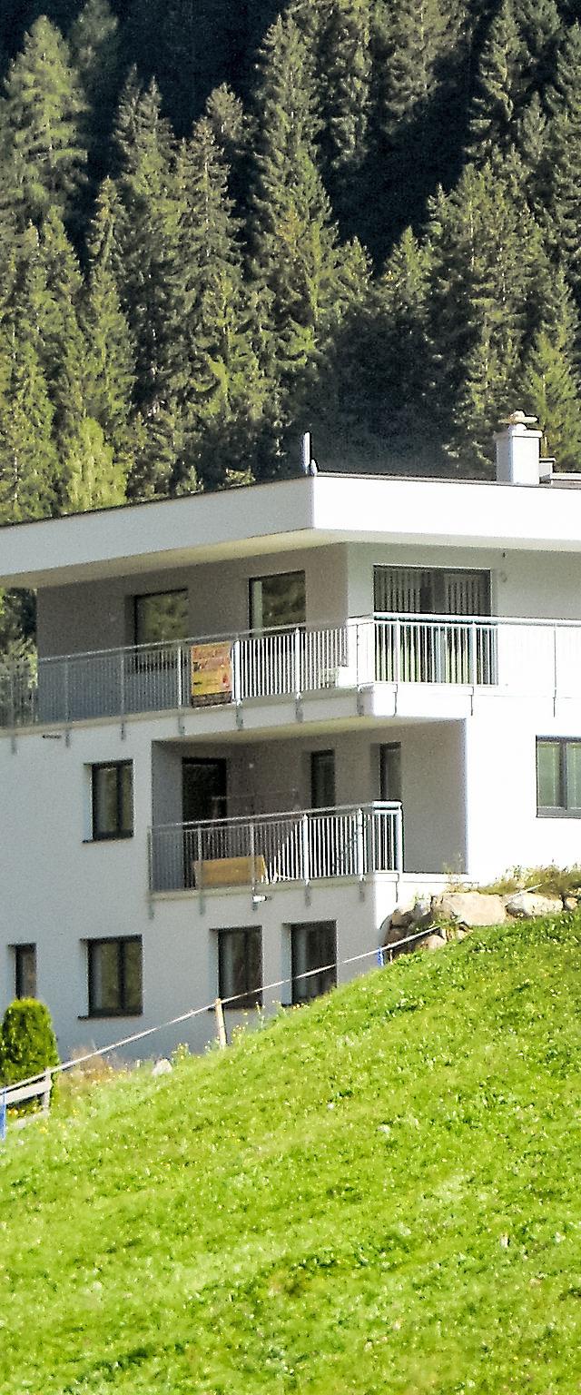 Collina – billede 15