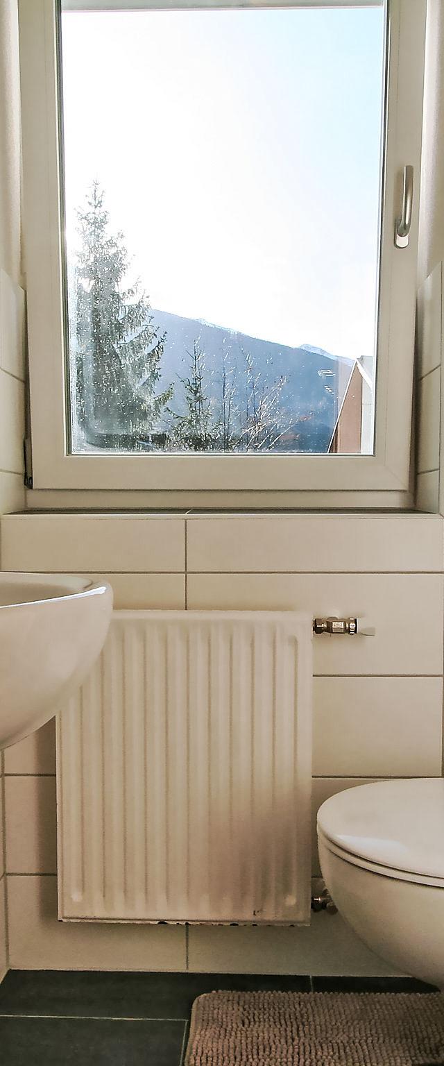 Alpenrose – billede 10