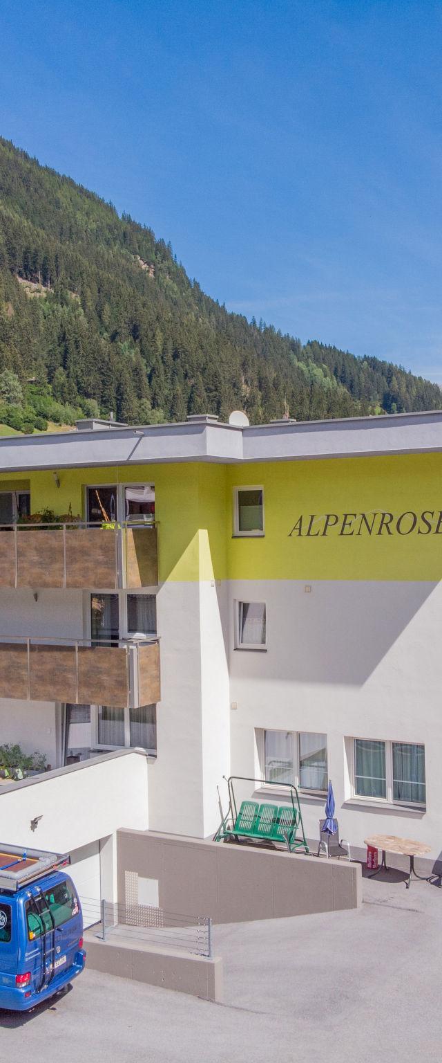 Alpenrose