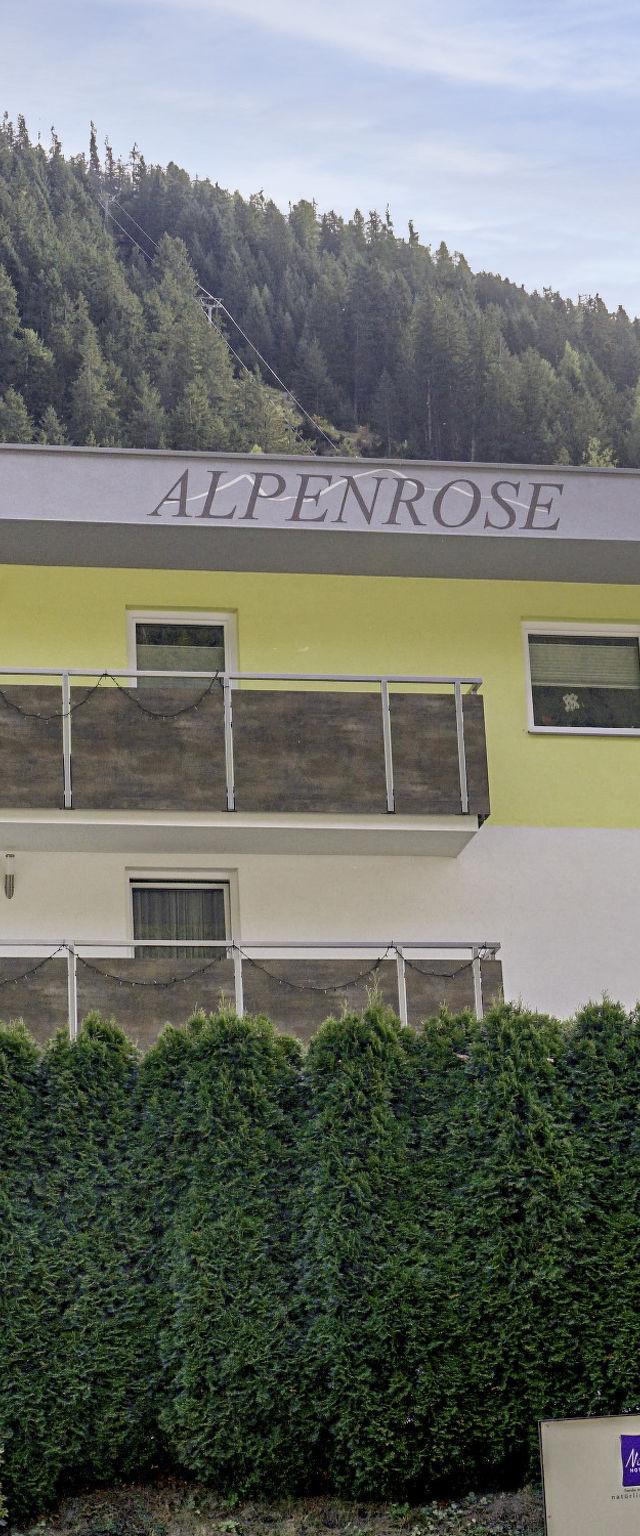 Alpenrose – billede 13