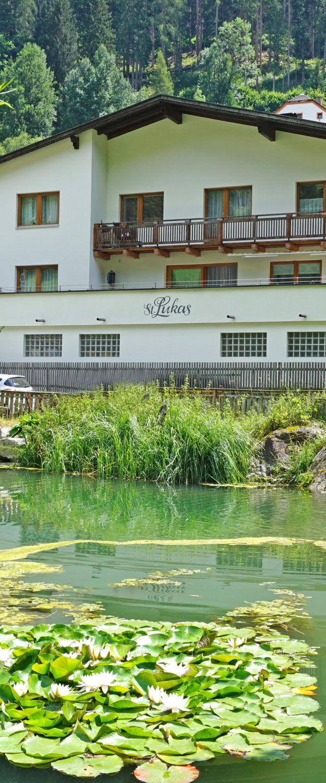 Gams – billede 15