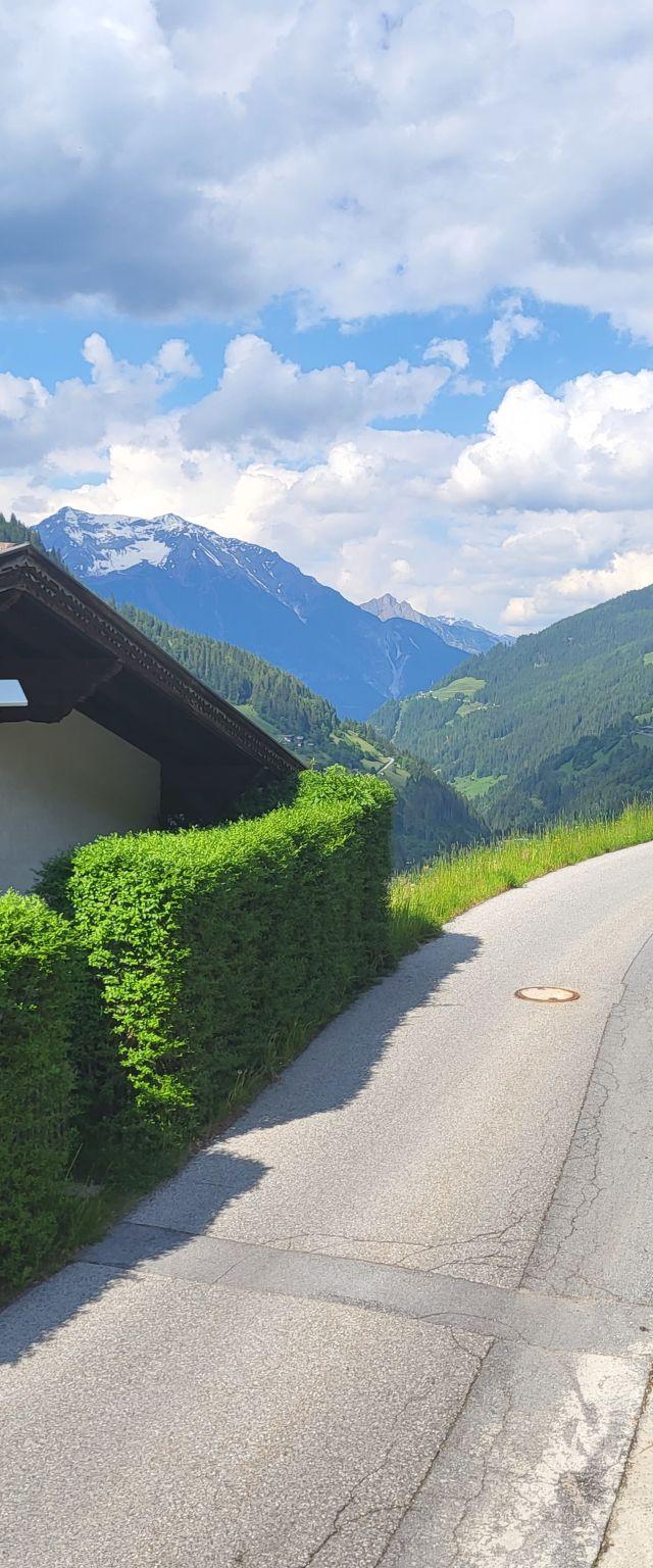 Bergblick – billede 6