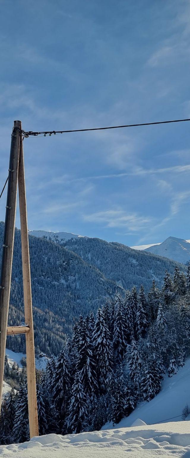 Home Holzwurm – billede 31