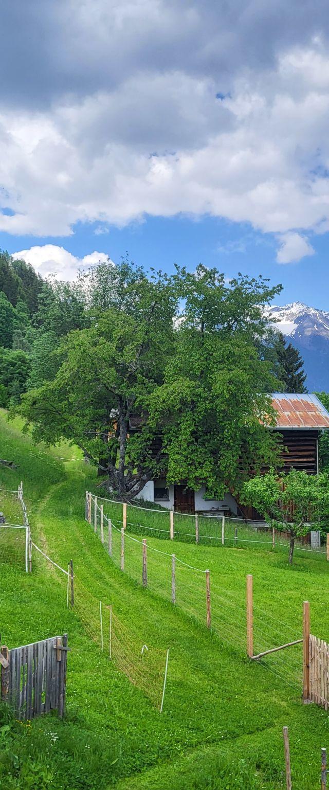 Home Fuchsbau – billede 29