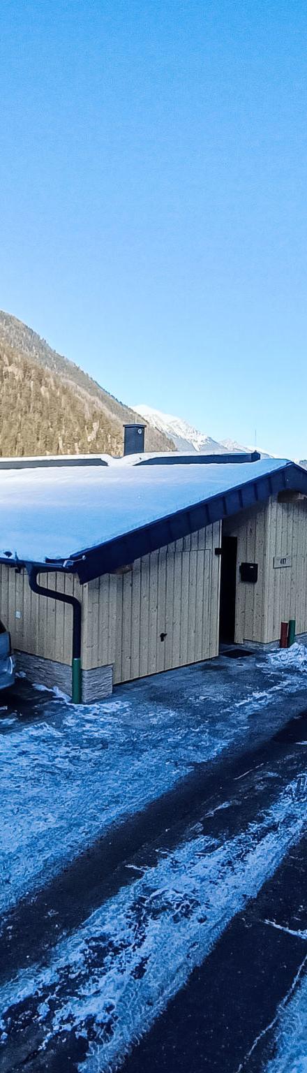 Silvretta – billede 1