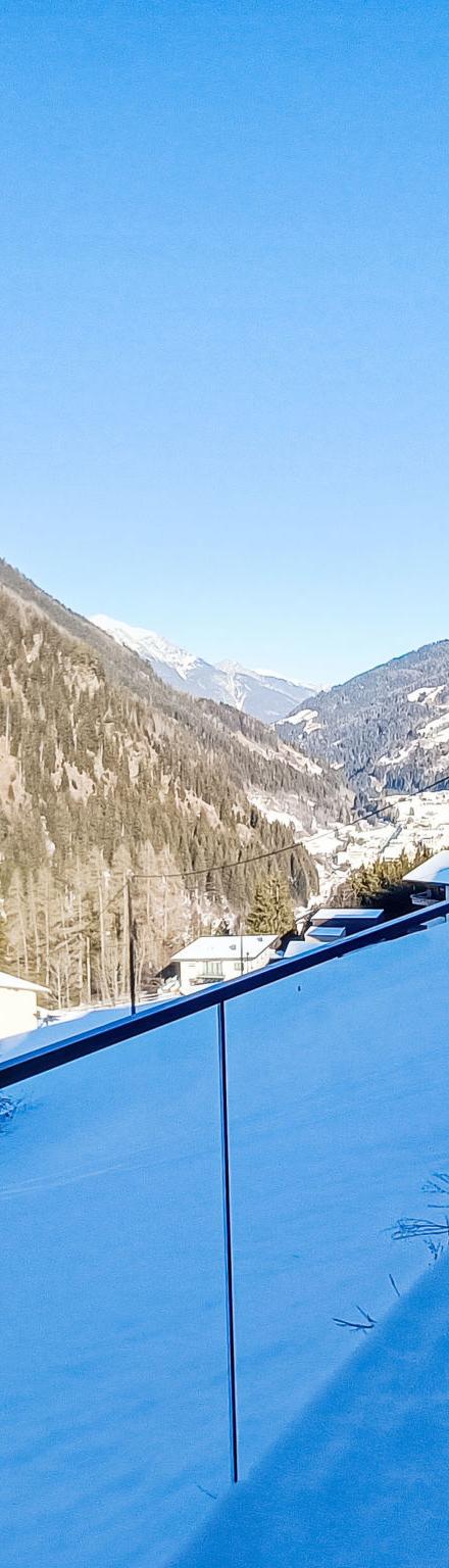 Silvretta – billede 5