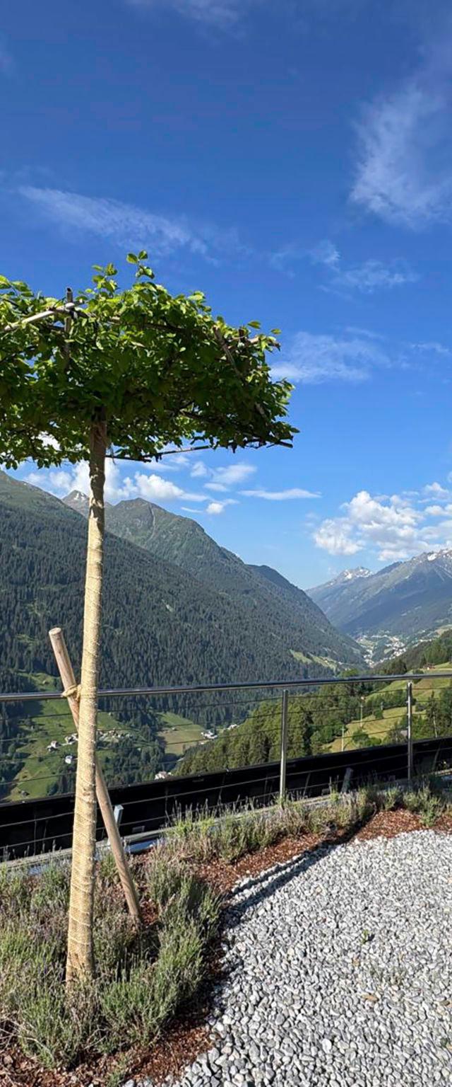 Skyline Retreat – billede 78