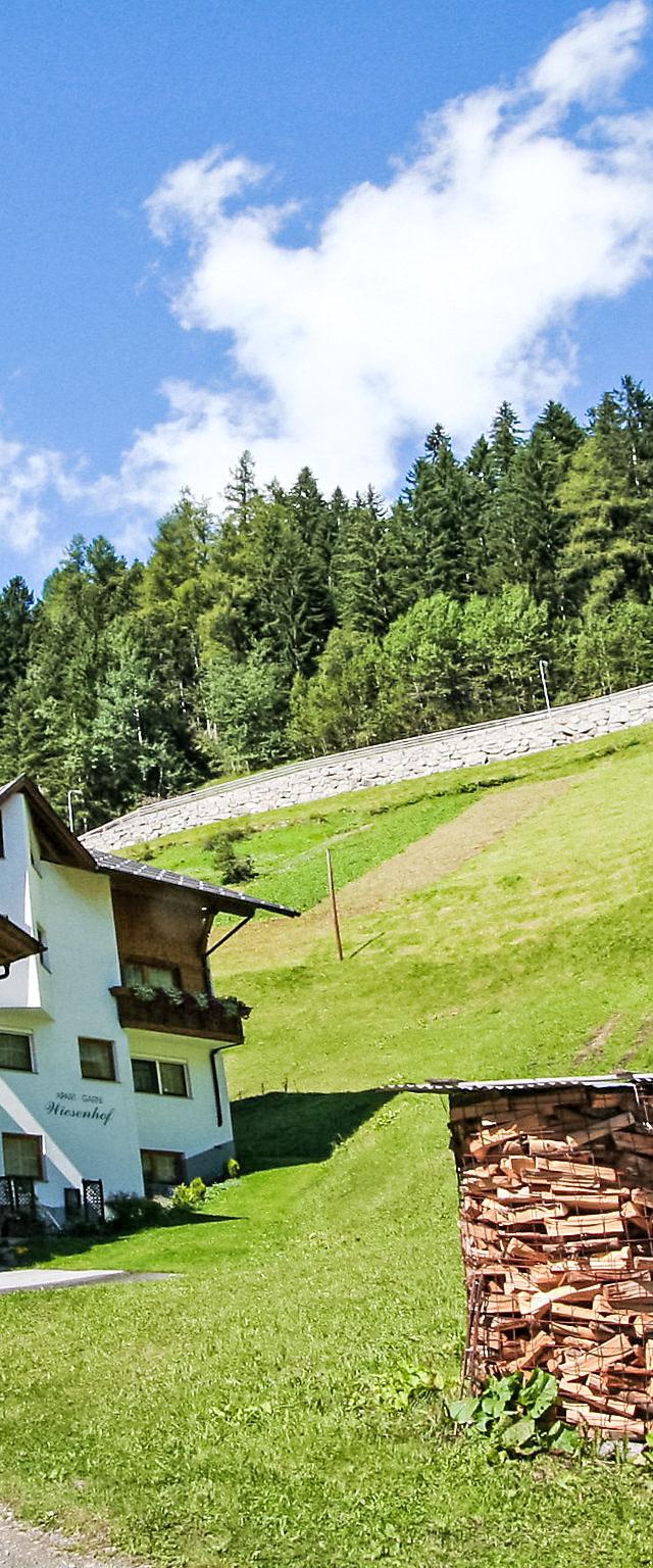 Alpenhof – billede 22