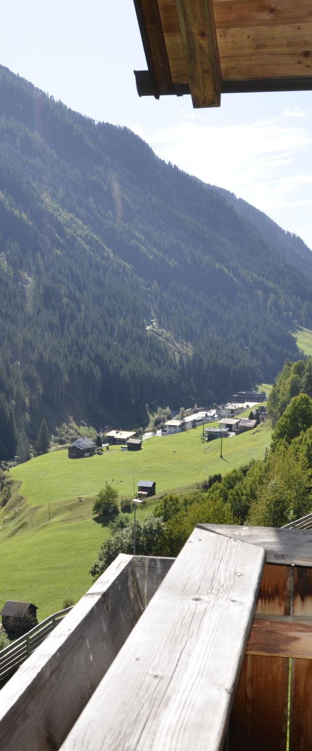 Silvretta – billede 17